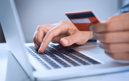 Primirea plăților pe site fără comisioane, dobânzi și plăți excedentare