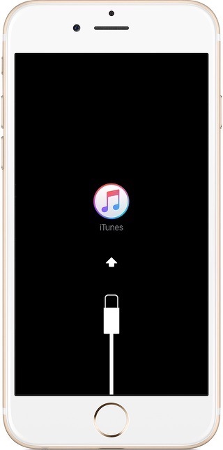 Probleme de actualizare la iOS 10