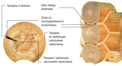 Proiectul casei - speranță - în Chelyabinsk