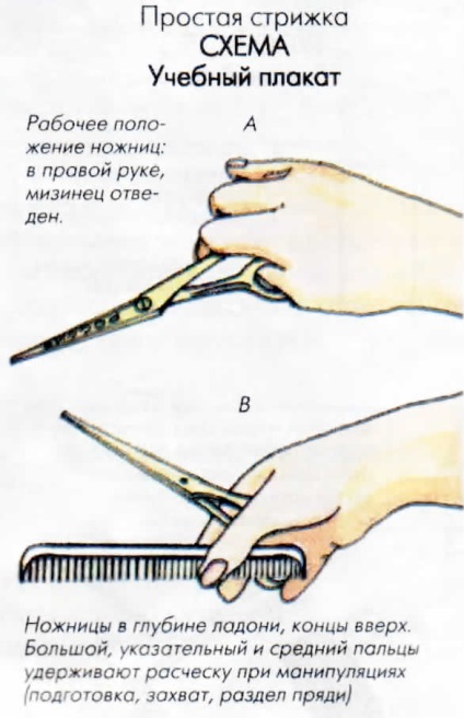 Tunsoare simplă - tehnică de execuție