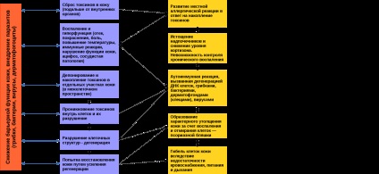 Psoriazisul și alte boli cronice ale pielii