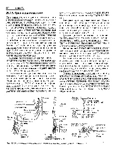 Membre cu cinci degete - manualul chimistului 21