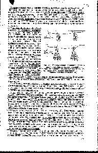 Membre cu cinci degete - manualul chimistului 21