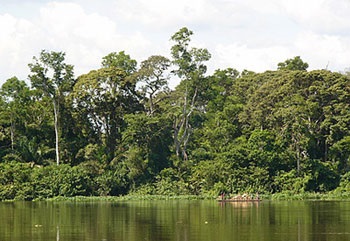 Râul Congo 1