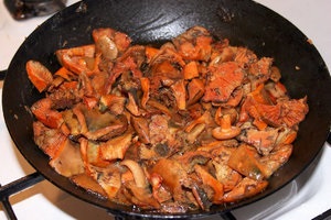 Rozhiki în smântână - o mâncare nutritivă pentru întreaga familie, un loc de ciuperci