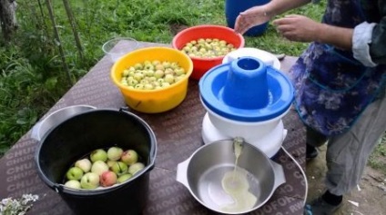 Garden Squeezer (59 fotó) véleménye a fehérorosz profi modellek iratmegsemmisítő és hobbi