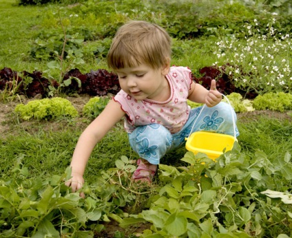 Градинарство - един чудесен начин да получите в хармония с природата
