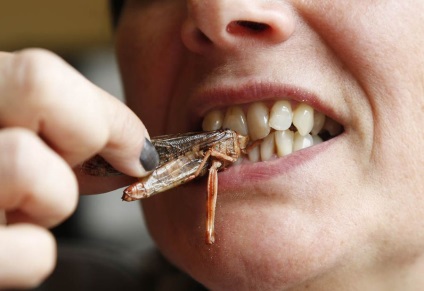 Lăcustele sunt o nouă sursă de nutrienți