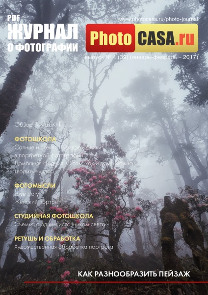 Secretele și trăsăturile fotografiei portretului - fotocasa - catalogul rusesc de fotografii