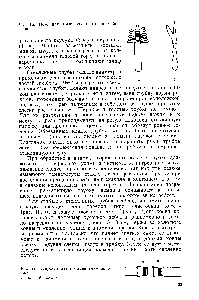 Manșoane conice interschimbabile - manualul chimistului 21