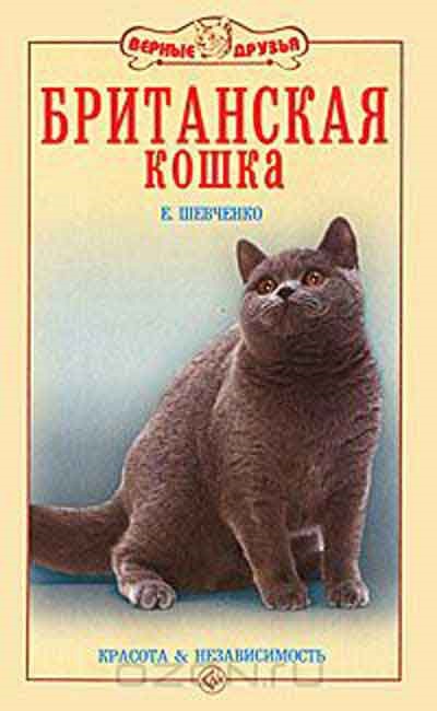 Шотландська висловуха кішка, автор елена шевченко - книга, відгуки, рецензії