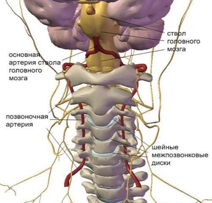 Sindromul arterei vertebrale ceea ce este și cum să trăim cu el