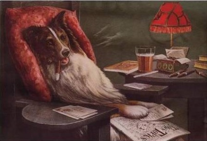 Syp-syp, pys-pyss ... câini de câine în poker! Woof!