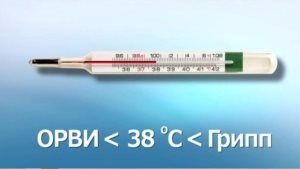 Câți oameni sunt contagioși pentru răceli, totul despre răceala și sinuzita comună