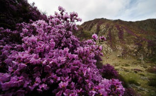 Speleoturismul în excursii în Teritoriul Altai, excursii