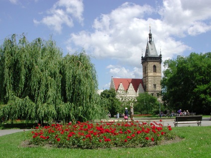 Nunta în Primăria