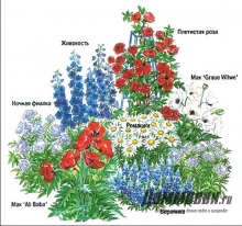 Modele de aranjare a florilor în flori de la simplu la complex