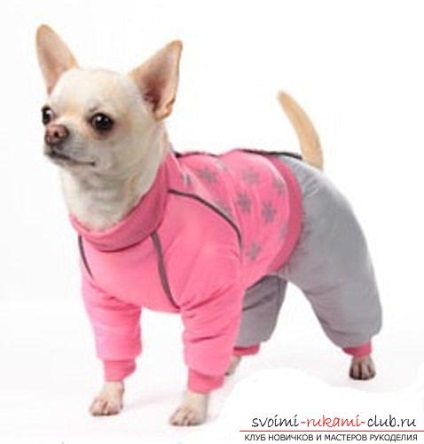 Îmbrăcăminte caldă pentru câini mici cu modele prin mâinile lor, fotografii și instrucțiuni