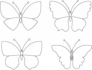 Butterfly minta, fénykép, kép, kilátások