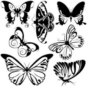 Butterfly minta, fénykép, kép, kilátások
