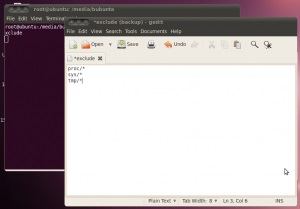Ubuntu, sistem de backup în ubuntu, blog