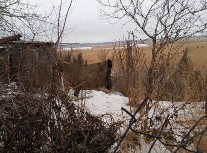 Ukrán Flayer gyilkos, és eszik a kutyák több mint 10 éve (fotók)