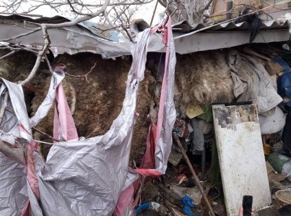 Ukrán Flayer gyilkos, és eszik a kutyák több mint 10 éve (fotók)