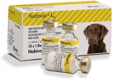 Vakcinák és szérumok kölykök, kölykök, kutyák és macskák vásárolni Voronyezs