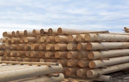 Tipuri de lemn și utilizarea lor în construcția de case