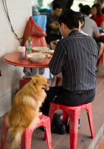 Kutya megengedett „kávézók és éttermek, ahol étkezhet a fogadó pet cég