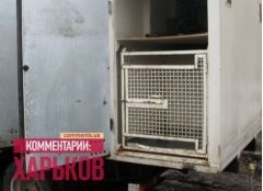 Kharkov macska „kirabolták” húsfeldolgozó üzem 6000 hrivnya