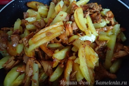 Fried chanterelles burgonya recept fotókkal, hogyan kell főzni a burgonyát rókagombával