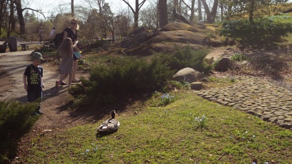 Gradina zoologica din Helsinki