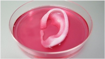 Bioprintori 3D