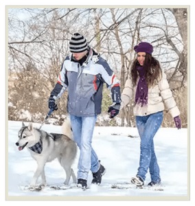 6 tipp a sétálni a kutyát télen