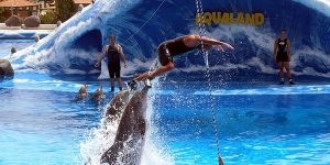 Élményfürdő «Aqualand» (Tenerife) leírása, fotók, irányokat, történelmi adatok