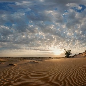 Aleshkovsky sivatagban Kherson régióban