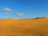 Aleshkovski Sands, Radensk