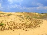 Aleshkovski Sands, Radensk