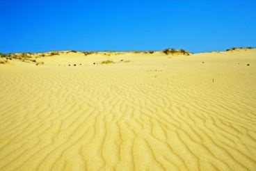 Aleshkovski Sands, Radensk