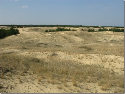 Oleshky Sands - a legnagyobb sivatag Európában