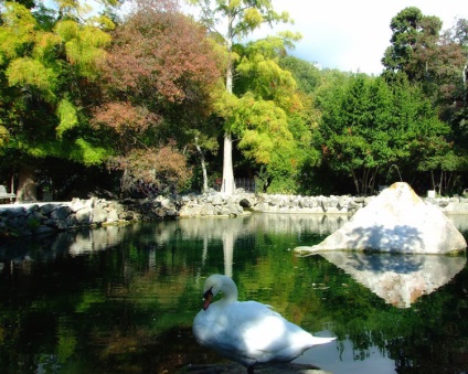 Parcul Alupkinsky și Palatul Vorontsov