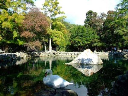 Parcul Alupka este unul dintre cele mai frumoase parcuri din Ucraina