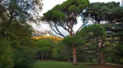 Parcul Alupka este unul dintre cele mai frumoase parcuri din Ucraina