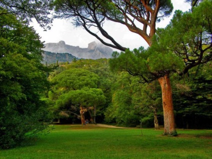 Descrierea parcului Alupka, atracții turistice