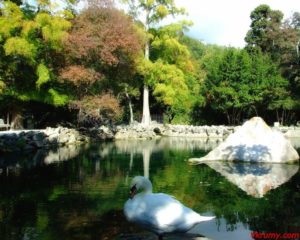 Алупка Парк, Ръководство за Крим