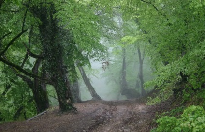 Temperatura aridă și umedă