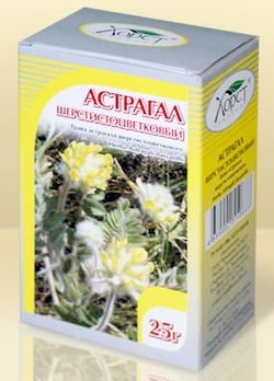 Planta Astragalus - aplicație în medicina populară