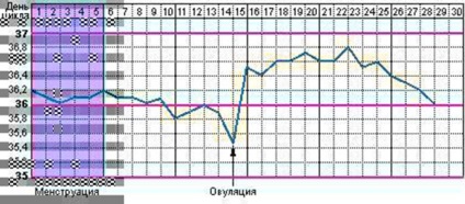 Temperatura bazală a scăzut după ovulație - la ce ar trebui să acordați atenție