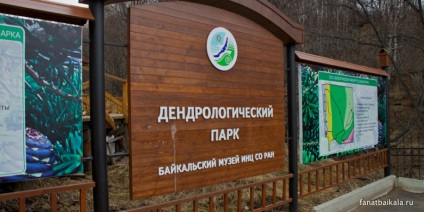 Centre de recreere, hoteluri în listvyanka, se odihnesc pe Baikal, un fan al lui Baikal